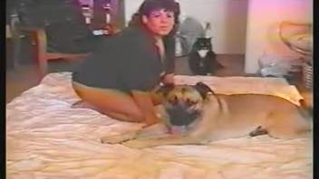 Plump bestiality enthusiast woman employs the yellow canine