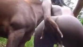 Wild young woman handles a massive stud's enormous penis in her ebony vagina