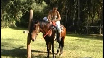 Pleasuring herself outdoors on a hot chestnut stallion