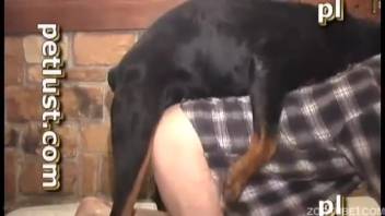 Plump canine screwing a similarly plump mature lady in a checkered blouse