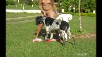 Mischievous ladies allow a stunning dog to tongue their damp openings