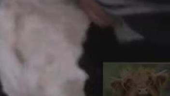 Sloppy sex sequence starring an extremely obedient creature