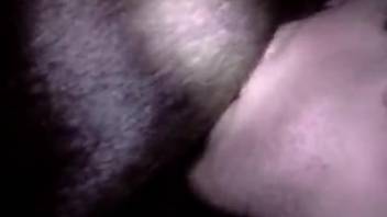 Bestiality lover arouses creature's opening prior to shoving cock in