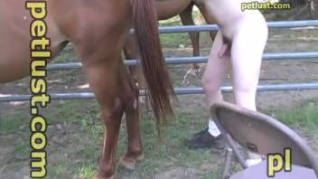 Dude and Stallion Explicit Encounter