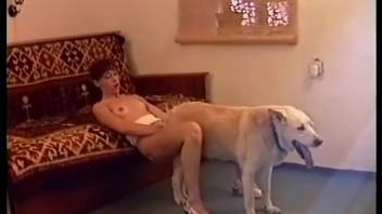 Attractive red-haired woman skillfully pleasures a dog's thick cock with her mouth