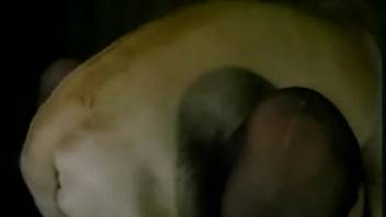 Hot chick in dark nylons loves intense fucking with a canine