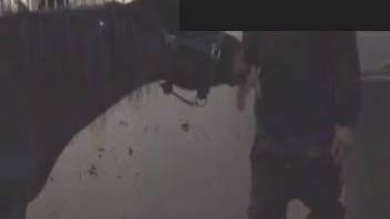 Guy recorded attempting anal intercourse with the horse