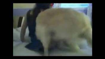 Dark-haired girl is screwed doggy-style by a canine