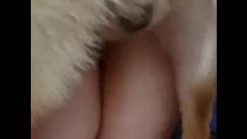 A well-trained canine aggressively thrusts into her narrow opening in the doggy position pose
