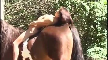 Homemade outdoor bestiality in intense scenes with an excited stallion