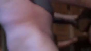 Guy thrusts his cock into a female horse's dark cunt