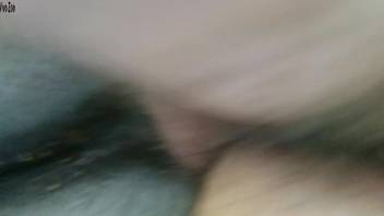 Guy with a bushy dick roughly dominating a female horse's vagina