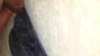 Guy sporting a penis ring banging a soaked horse vagina
