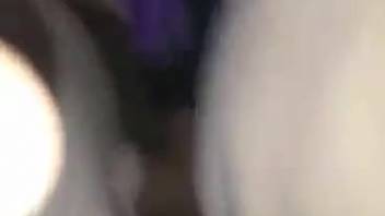 Horny guy screws a female horse's cunt after fingering her