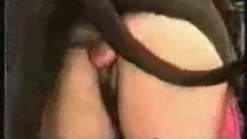 Steamy animal sex flick featuring rear-entry pounding