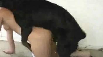 Curvy blonde with a huge ass gets pounded by a black dog