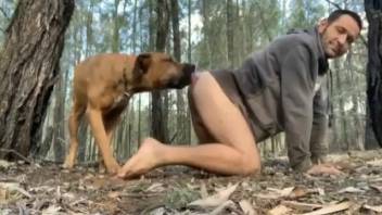 Aroused bestiality enthusiast gets on hands and knees to be screwed by a canine
