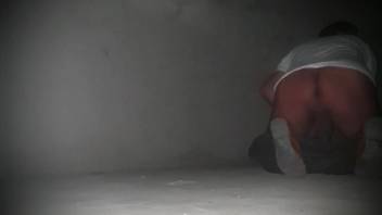 Midnight online bestiality session on cam featuring a canine and its owner
