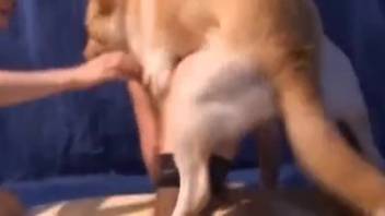 Excited chick slides whole dog dick into her pussy