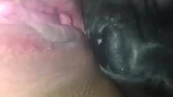 Canine tongues lady's rosy bud in her private self-pleasure session