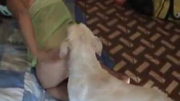 Dog tongues and pounds the woman's vagina in a kinky Xnxx adult video