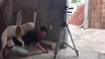 Young gay guy allows his dog to mount his rear for several sessions