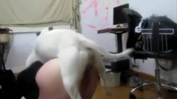 Rear-entry sex scene featuring intense anal bestiality action