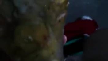 Guy screwing a lifeless fish in a weird point-of-view flick
