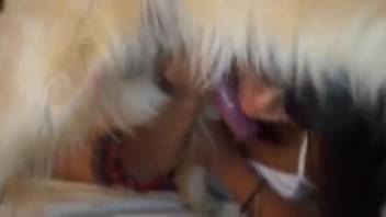 Brunette woman wearing a mask smooching a canine's penis