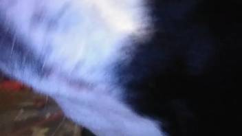 Guy stuffs his dick into the dog's mouth in a sizzling first-person flick